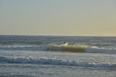 DSC_7255 (Large).JPG